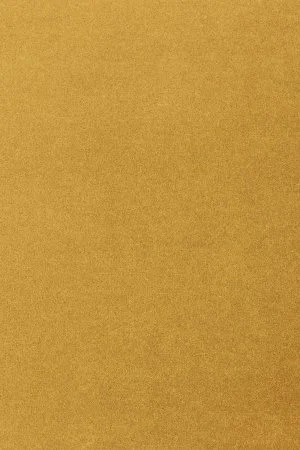 Ковровое покрытие AW Oinone 54 - (5м) в Нефтекамске