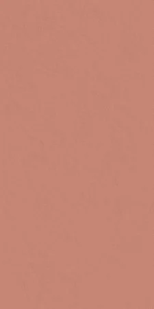 Керамогранит Italon Серфейс Скарлетт (Патинированная, 60x120) в Нефтекамске