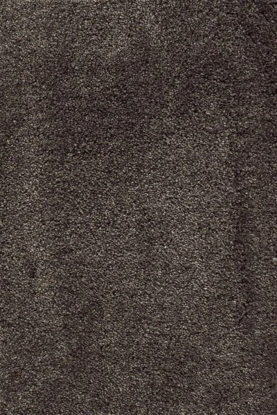 Ковровое покрытие AW Fedone 44 - (5м) в Нефтекамске