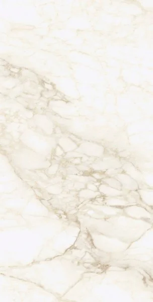 Керамогранит Coliseum Микеланджело Ворм 60х120 (Натуральный и Реттифицированный) в Нефтекамске