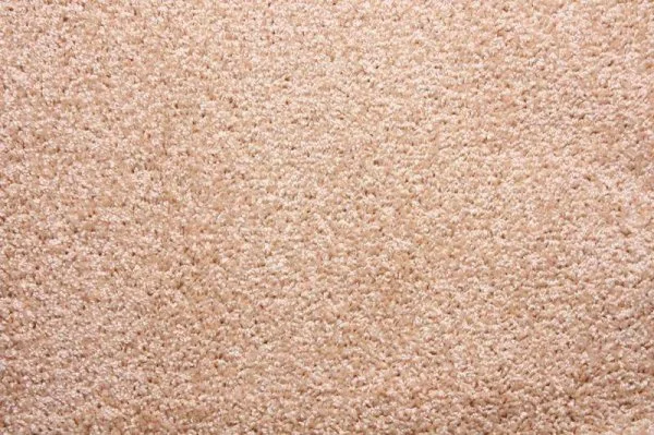 Ковровое покрытие Zartex Фортуна 004 кремовый - 3 м в Нефтекамске