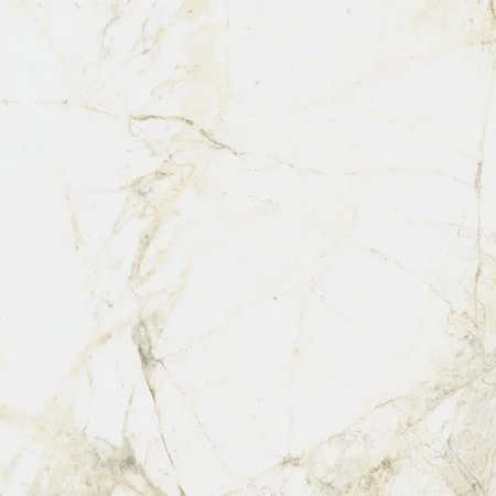 Керамогранит Coliseum Канова Уайт 60х60 (Натуральный и Реттифицированный) в Нефтекамске