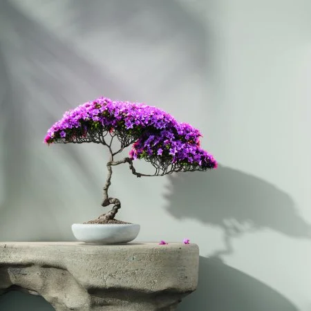 Обои Loymina Lotus LOT1 112 в Нефтекамске