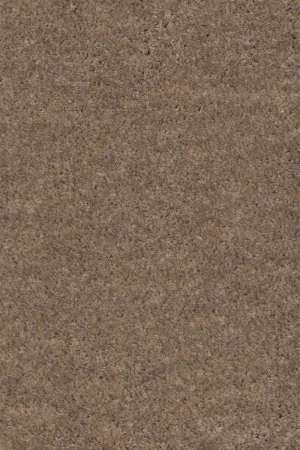 Ковровое покрытие AW Euphoria 36 - (4м) в Нефтекамске