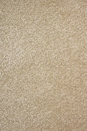 Ковровое покрытие AW Euphoria 33 - (5м) в Нефтекамске