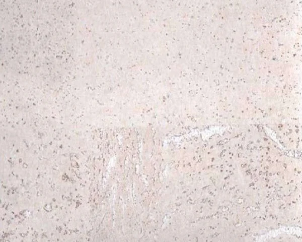 Настенное пробковое покрытие CorkArt PW 386 WS в Нефтекамске