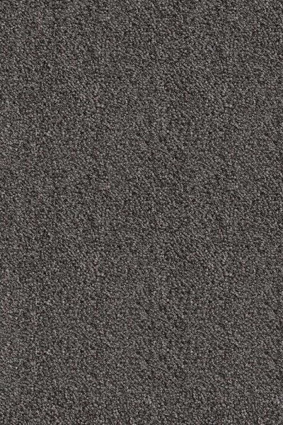 Ковровое покрытие AW Messalina 99 - (5м) в Нефтекамске