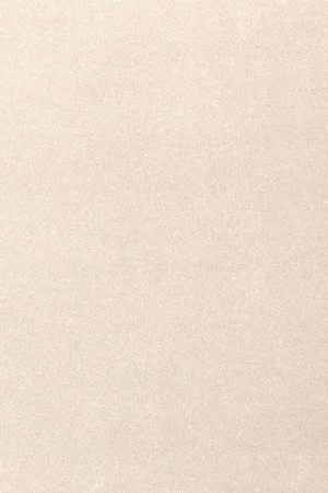 Ковровое покрытие AW Oinone 03 - (5м) в Нефтекамске