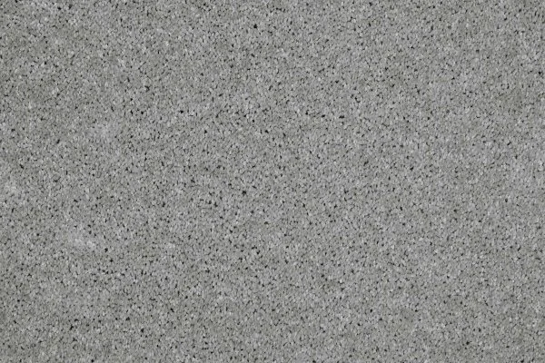 Ковровое покрытие AW Gala 90 - (4м) в Нефтекамске