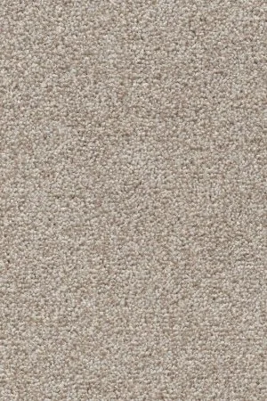 Ковровое покрытие AW Stainguard Harvest 04 - (4м) в Нефтекамске