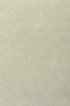 Ковровое покрытие AW Oinone 02 - (5м) в Нефтекамске