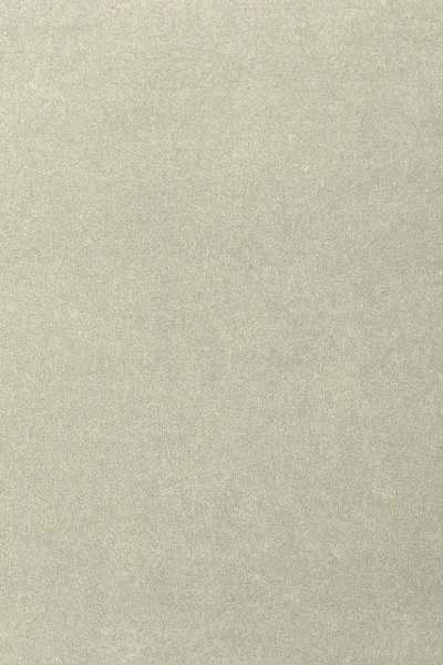 Ковровое покрытие AW Oinone 02 - (4м) в Нефтекамске