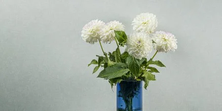 Обои Loymina Shade vol.2 SDR5, 001 в Нефтекамске