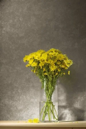 Обои Loymina Golden Library TDG 7, 008 в Нефтекамске