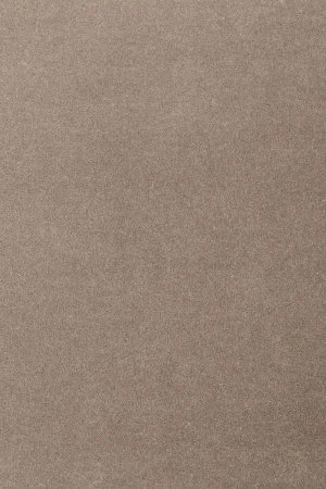 Ковровое покрытие AW Oinone 49 - (5м) в Нефтекамске