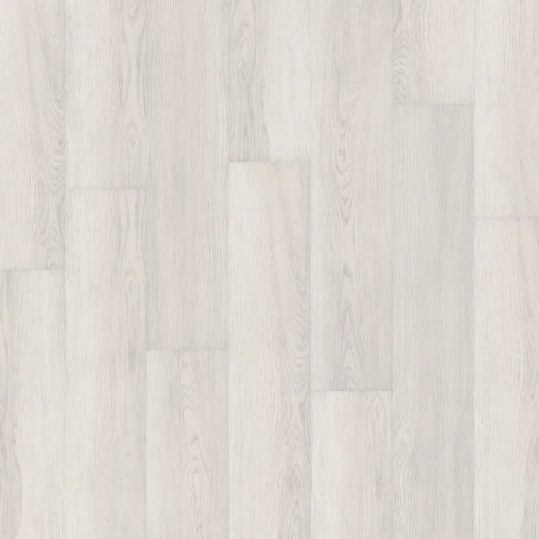 Bonkeel Rockstar Freddie