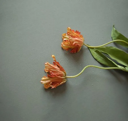 Обои Loymina Russian Classic Ru10, 006 в Нефтекамске