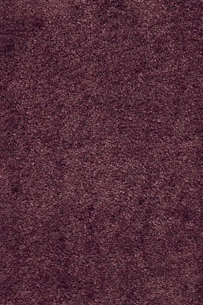 Ковровое покрытие AW Fedone 19 - (5м) в Нефтекамске