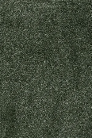 Ковровое покрытие AW Fedone 24 - (5м) в Нефтекамске