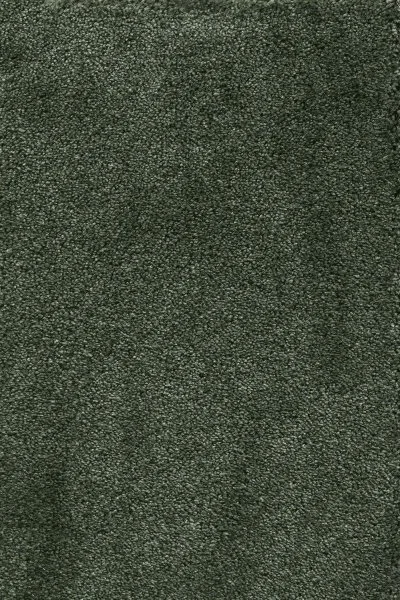 Ковровое покрытие AW Fedone 24 - (5м) в Нефтекамске