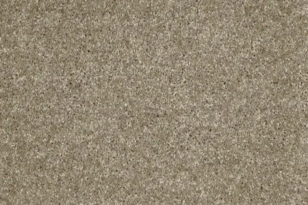 Ковровое покрытие AW Gala 33 - (5м) в Нефтекамске