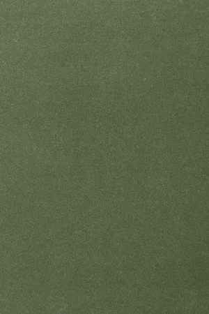 Ковровое покрытие AW Oinone 24 - (5м) в Нефтекамске