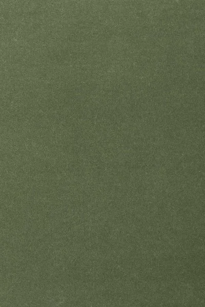 Ковровое покрытие AW Oinone 24 - (4м) в Нефтекамске