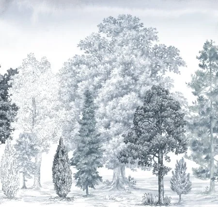 Обои Loymina Пейзаж vol. 2 ART14 006 в Нефтекамске