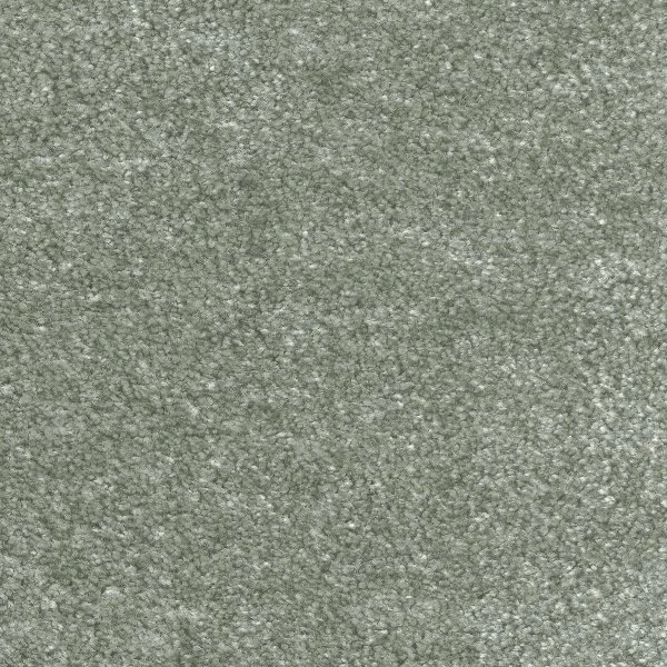 Ковровое покрытие AW Euphoria 28 - (5м) в Нефтекамске