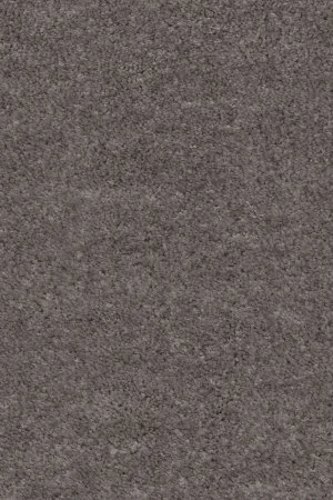 Ковровое покрытие AW Euphoria 45 - (5м) в Нефтекамске