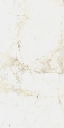 Керамогранит Coliseum Канова Уайт 60х120 (Натуральный и Реттифицированный) в Нефтекамске