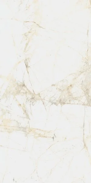 Керамогранит Coliseum Канова Уайт 60х120 (Натуральный и Реттифицированный) в Нефтекамске