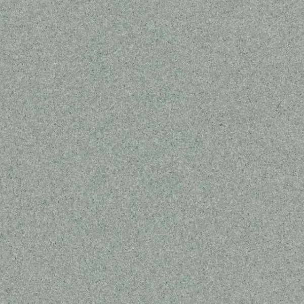 Линолеум Tarkett Primo Plus CPRPI-311 2 м в #REGION_NAME_DECLINE_PP#